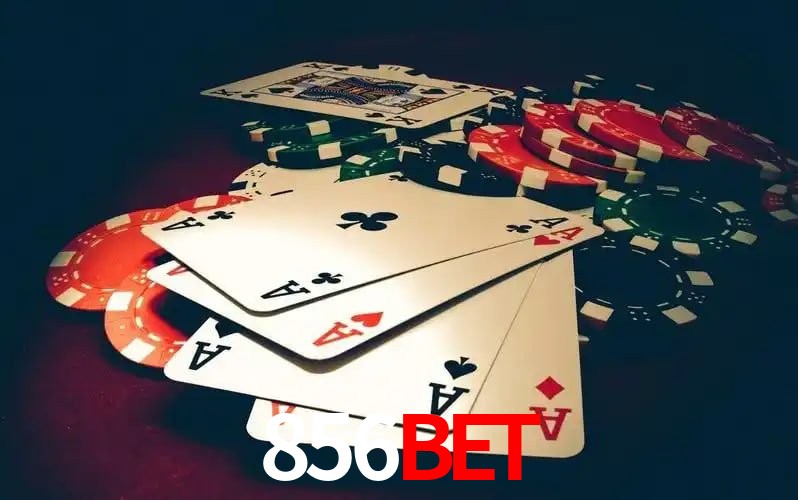 Chances Ganhar 856bet