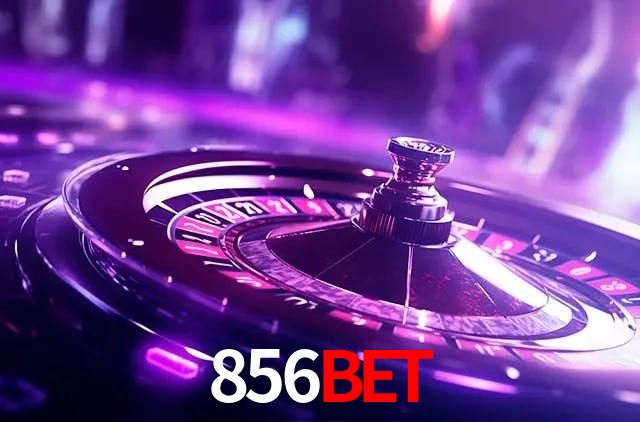 Experiência VIP 856bet