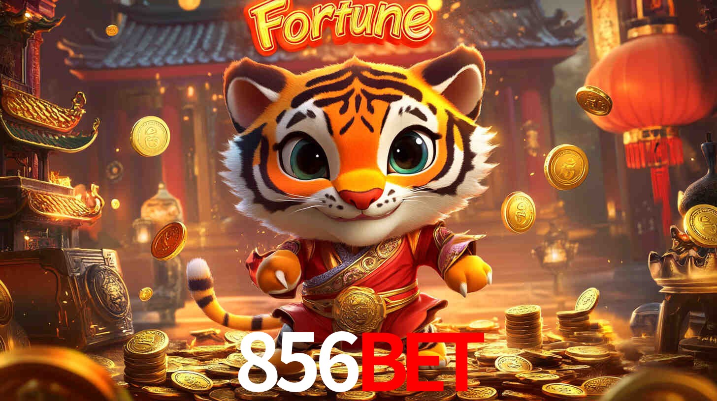 Instalar APK 856bet