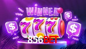Statistics 856bet