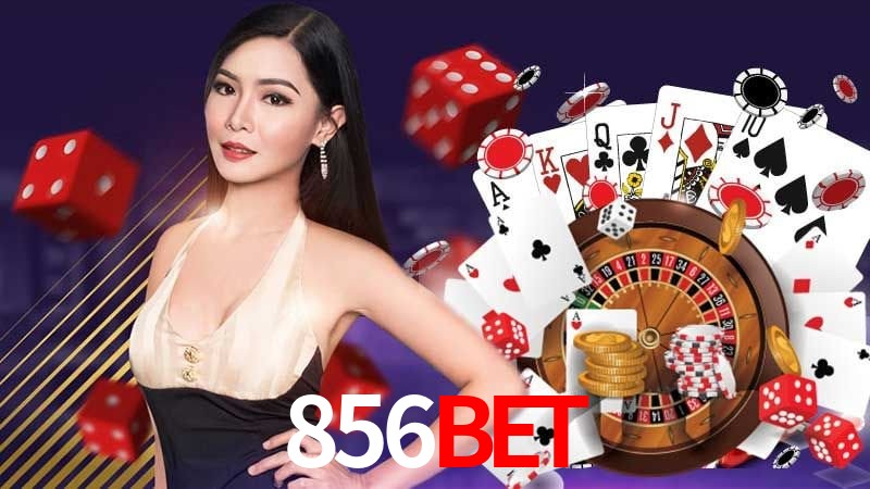 Recursos de Bônus 856bet