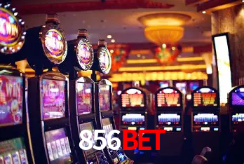 Descubra o Mundo do Cassino Online com 856bet